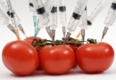 GMO: legalūs mutantai
