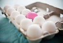 Ką žinome apie kiaušinius? 