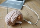 Įdomūs faktai apie žmogaus smegenis