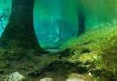 Pasakiškas Žaliojo ežero pasaulis