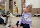 Rankos netekusi mergaitė susidraugavo su trikoju kačiuku (foto)