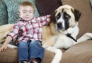 Trikojis šuo padėjo neįgaliam berniukui pamilti pasaulį (foto)