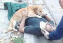 Ištikimas šuo, nepalikęs traumą patyrusio šeimininko, tapo interneto žvaigžde (foto)