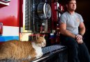 Katinas-psichoterapeutas padeda ugniagesiams gelbėtojams kovoti su stresu (foto)