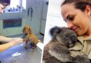 Šiltos akimirkos iš veterinarų gyvenimo (foto)