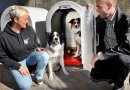 Prie prekybos centrų atsiranda kabinos gyvūnams (foto, video)