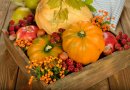Populiariausios dietos rudenį: ką reikia žinoti?