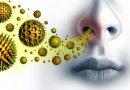 Gydytoja alergologė apie COVID-19 ir alerginių ligų ryšį: užsnūsti nederėtų