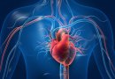 11 širdies ligų simptomų, kurių nereikėtų ignoruoti