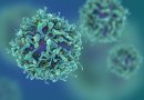 Kaip išvengti vėžinių ląstelių atsinaujinimo?