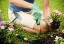 Daugiausia traumų įvyksta buityje: kaip apsisaugoti prasidėjus sodo darbų sezonui?