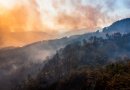 Primena, kaip elgtis padidėjus oro taršai: įsidėmėkite