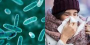 Laikas ruoštis šaltajam sezonui: TOP5 imunitetą stiprinančios priemonės