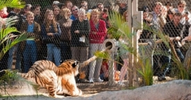 Išsiilgę ekstremalių pojūčių gali išbandyti savo jėgas zoologijos sode