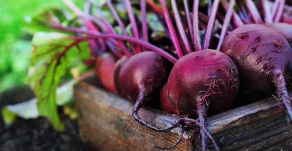 Gaivios vakarienės idėja: ypač patiks burokėlių mėgėjams